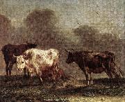 POTTER, Paulus Cows in a Meadow af China oil painting reproduction